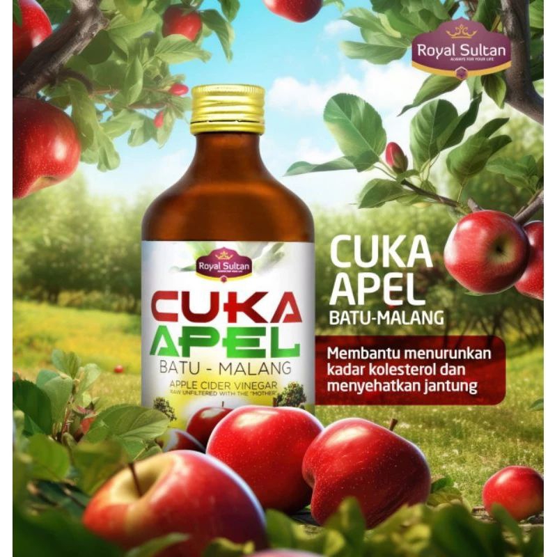 

Free Jahe Merah Cuka Apel Natural Apple Vinegar Batu Malang untuk lambung dan program diet by Royal Sultan