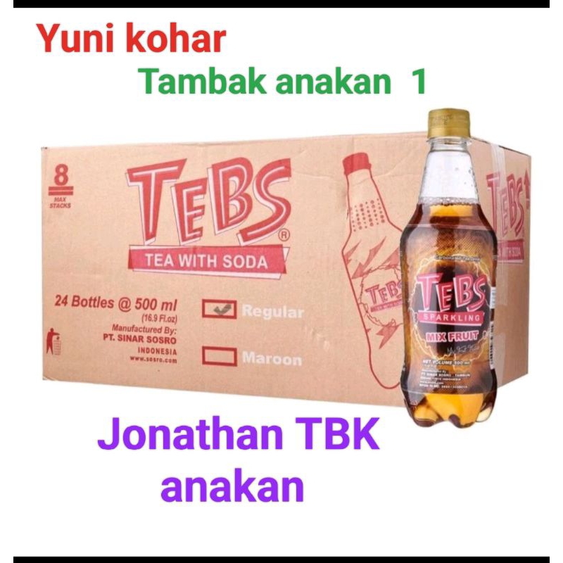 

Tebs sparkling mix fruit 500ml isi 24