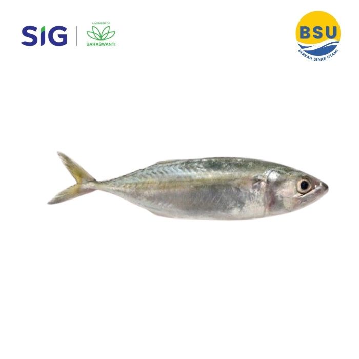 

Ikan Kembung Banjar