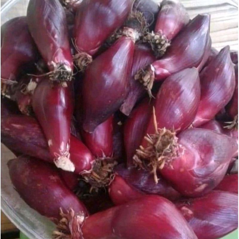 

Bawang dayak segar 500gram