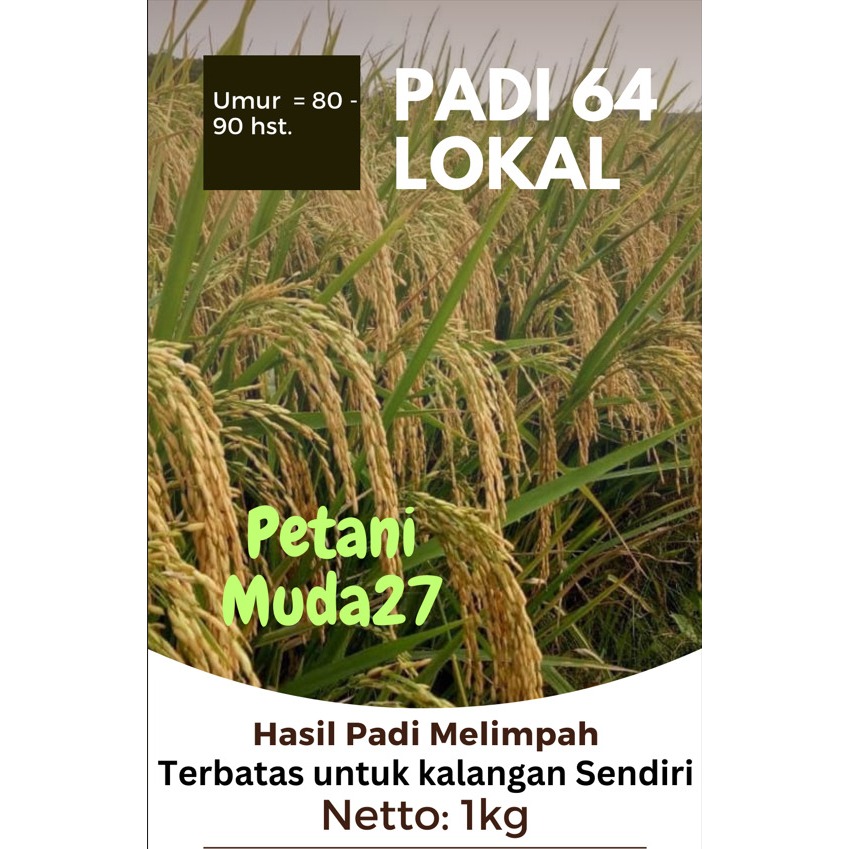 Padi 64 Lokal / Biji Padi Unggul 1kg