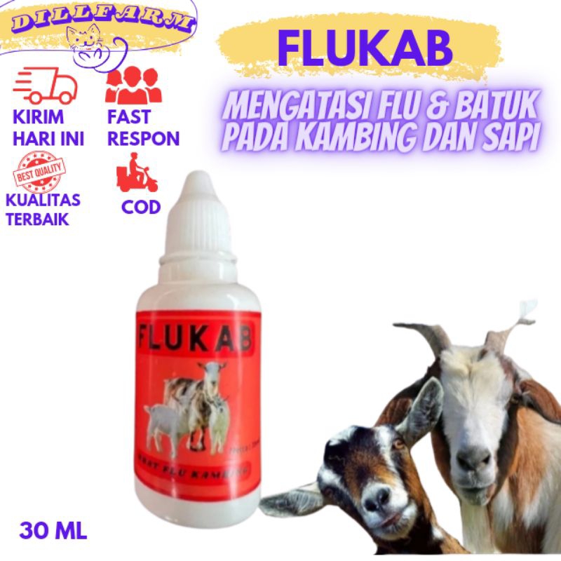 obat pilek dan batuk kambing-pneomonia ternak hewan dillfarm