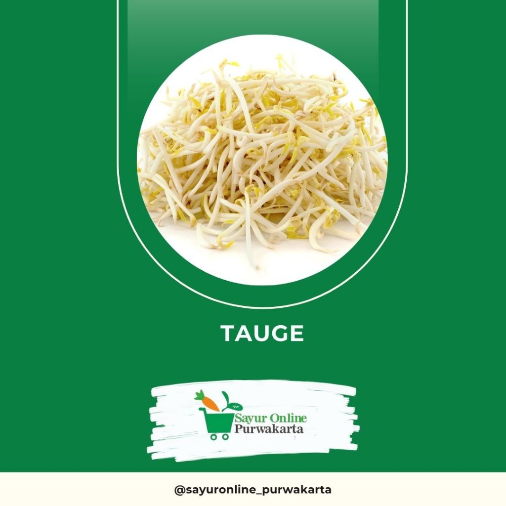 

Tauge - Sayur Online Purwakarta