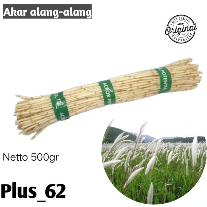 

Akar alang-alang/akar ilalang segar herbs organik tradisional hemat/250gr