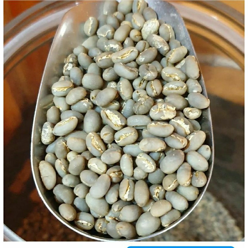 biji kopi peaberry / kopi lanang gayo / aceh 1 kg