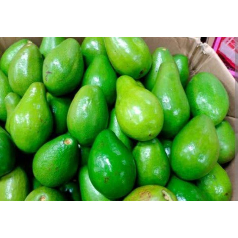 

Alpukat Mentega Fresh 1 kg isi 4-5 buah