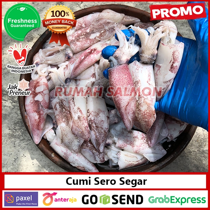 

Cumi Sero FRESH UTUH / Cumi Laut Seafood Segar / Squid Sea Fresh Harian / Cumi Seafood (bersih)