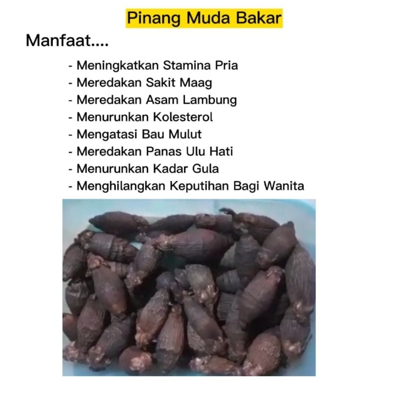 Pineung Muda Sale 1000/Biji | pineung Nyen Pinang Obat | Pinang Muda Bakar