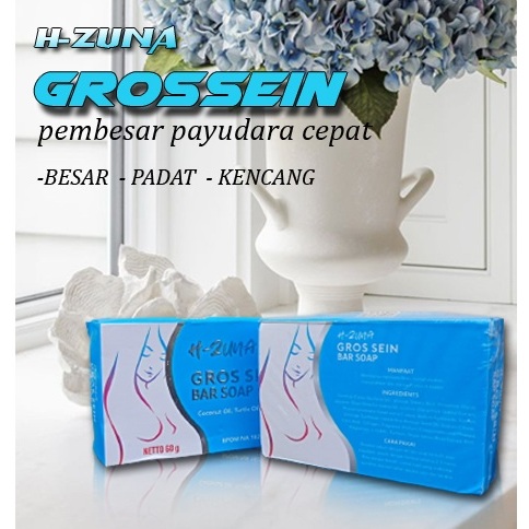 Pembesar payudara wanita cepat permanen BPOM