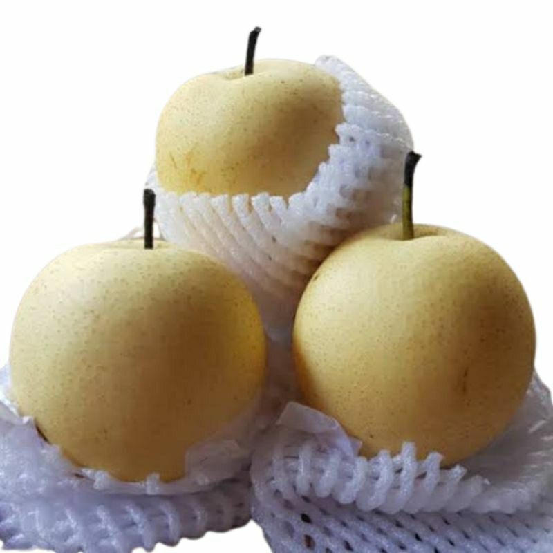 

buah pear century