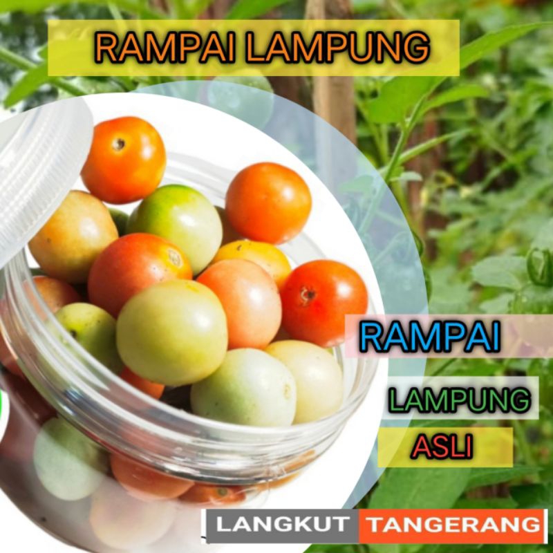 

rampai lampung 200gram