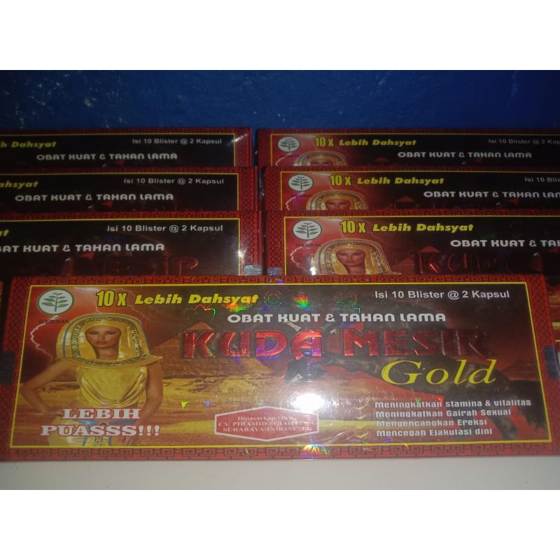 kuda Mesir gold