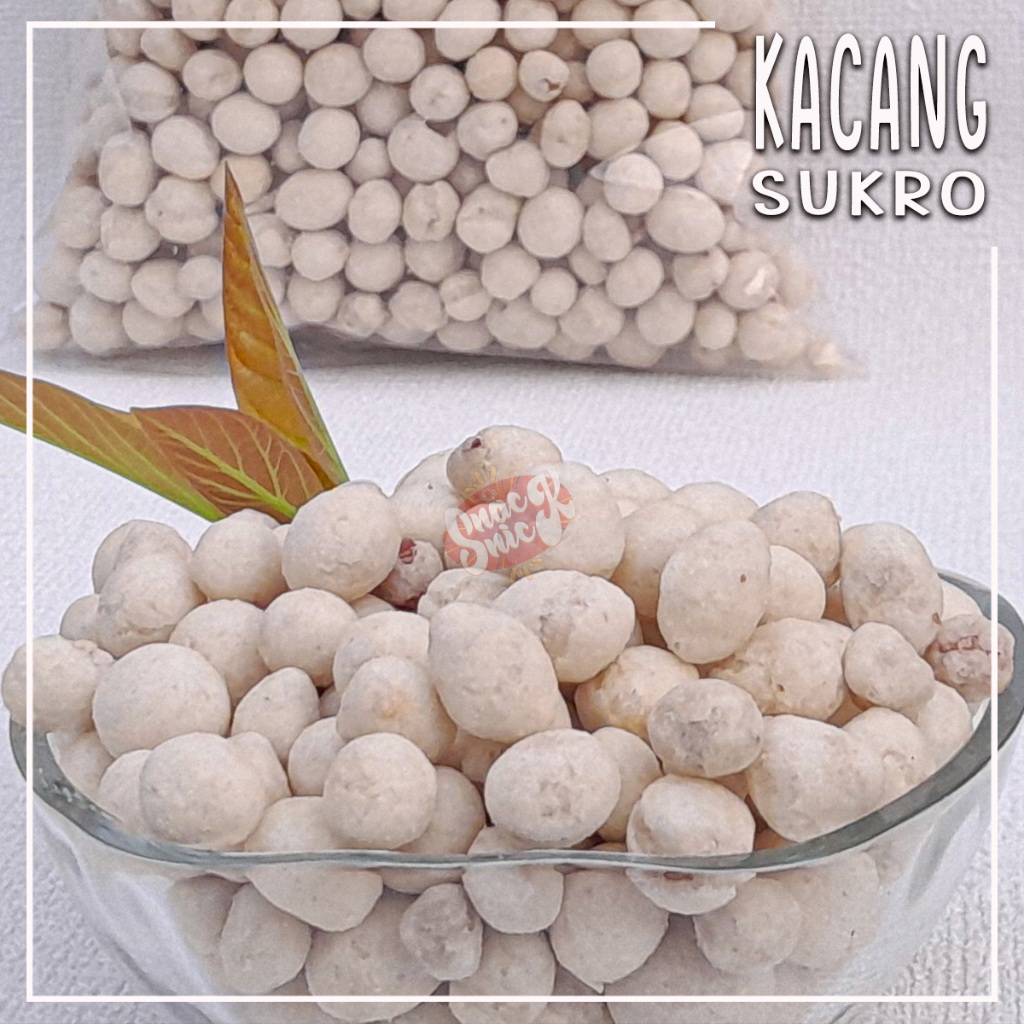 

Kacang Sukro 1kg sukro putih kacang atom PREMIUM