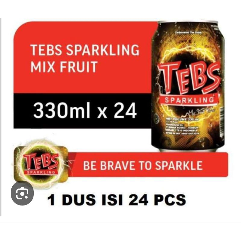 

Tebs Sparkling Mix Soda Can 330 ml 1 Dus