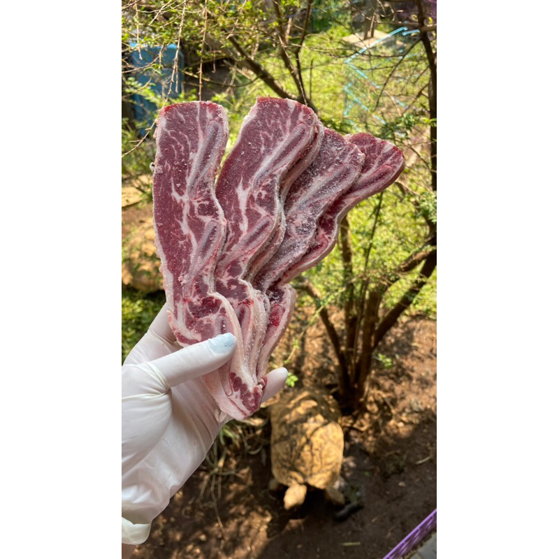 

GRASSFED galbi iga sapi shortribs 500gr