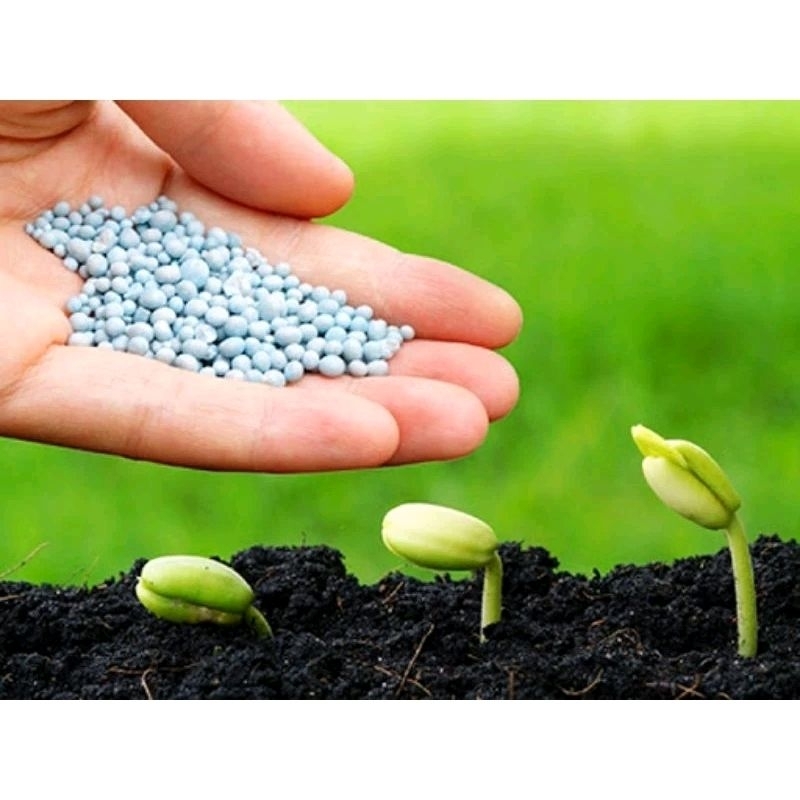 PUPUK NPK MUTIARA UNTUK SEGALA JENIS TANAMAN SAYURAN BUAH BUNGA