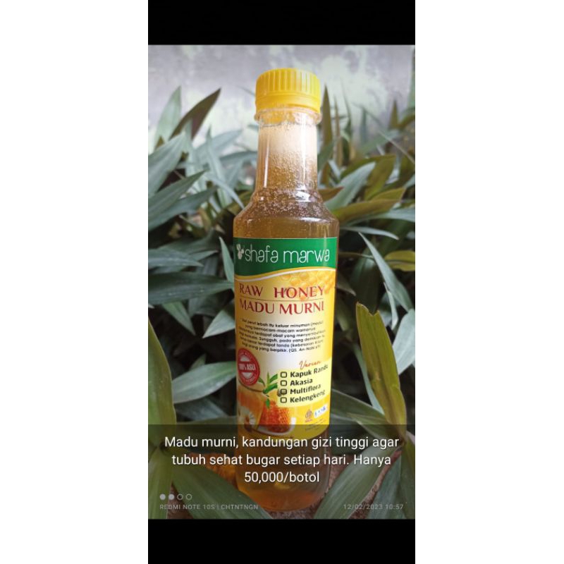 

Madu murni 500 gram