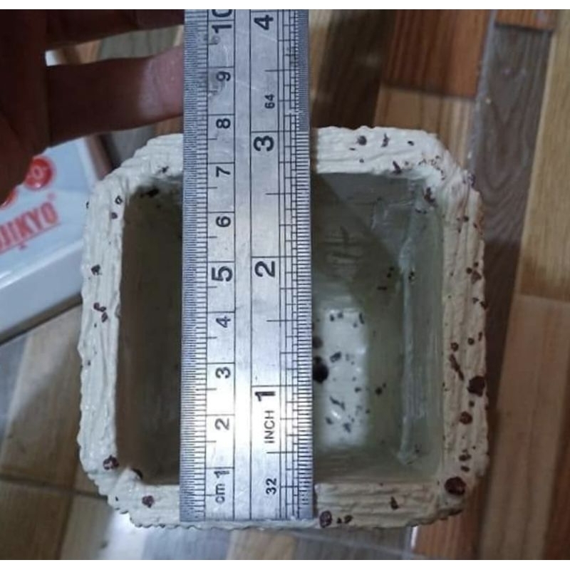 pot vas bunga tanaman bonsai aroid plant