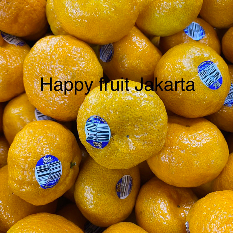 

Jeruk tampa biji manis segar| jeruk golden nugget australia fresh 1 kg