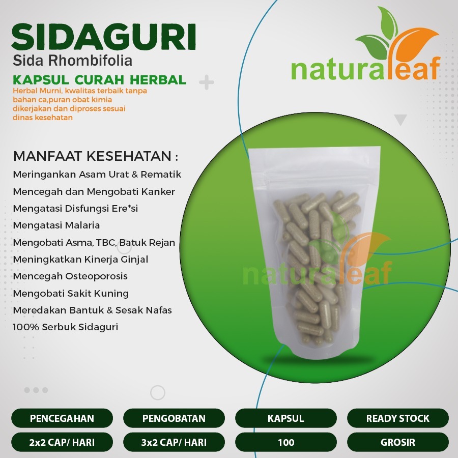 SIDAGURI 100 Kapsul Herbal Lemah Syahwat Eksim Asma Anti Radang Ginjal