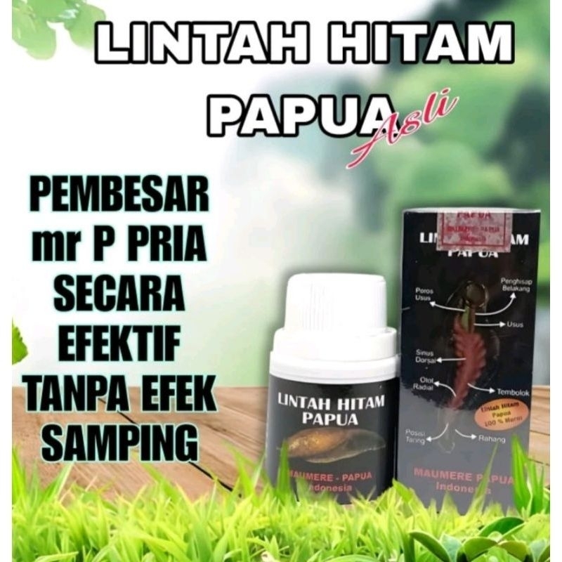 LINTAH HITAM PAPUA 100% ASLI OBAT PEMBESAR KELAMIN OBAT PEMBESAR PENIS OBAT KUAT