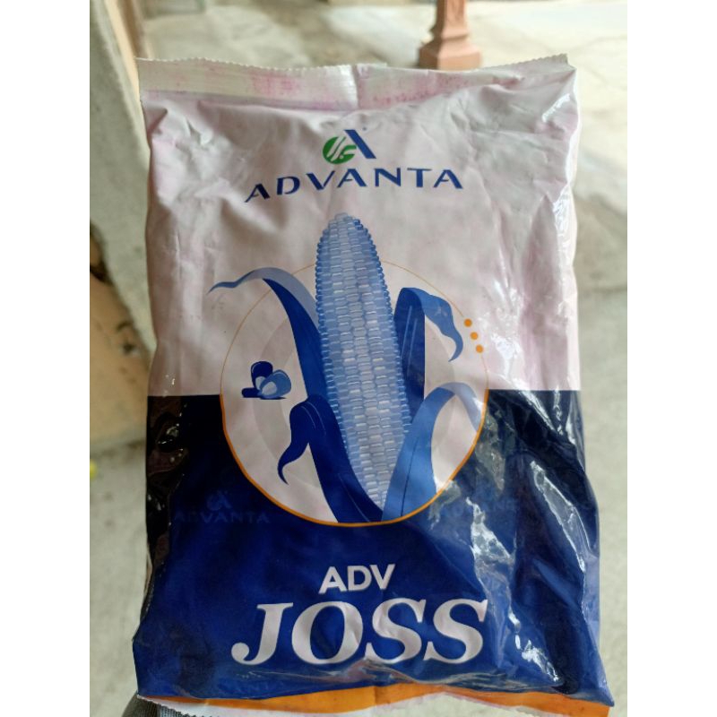 Benih Jagung Hibrida ADV JOSS