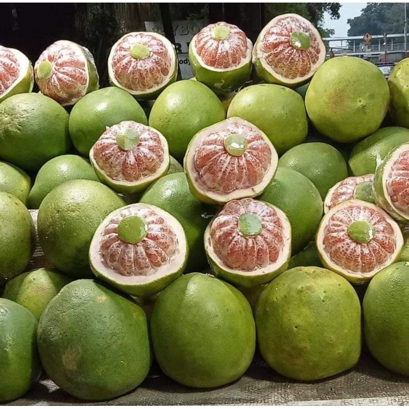 

JERUK PAMELO MERAH 1BUAH/JERUK PAMELO MANIS/JERUK BALI MERAH