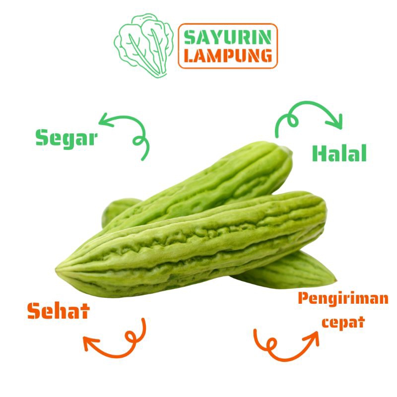 

sayur pare segar 500gr - SAYURin LAMPUNG
