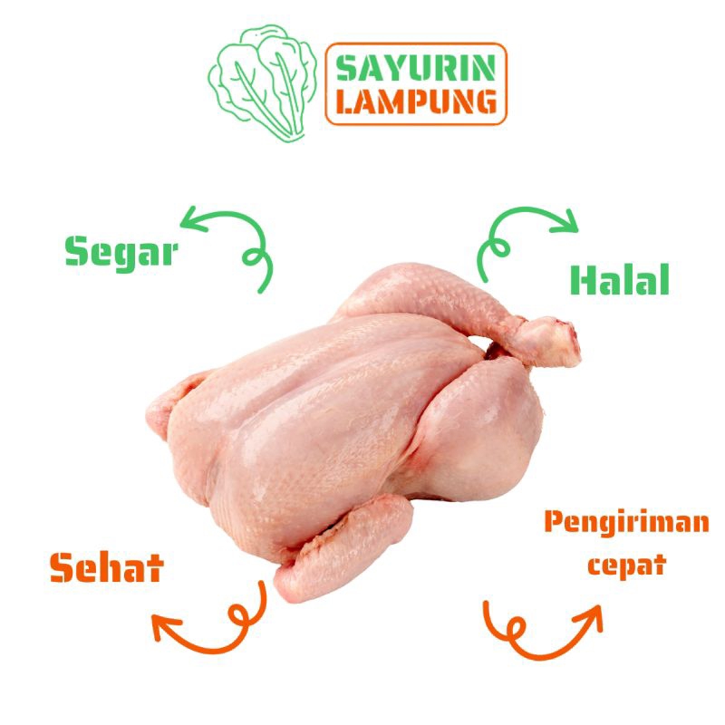 

ayam potong segar 1 ekor - SAYURin LAMPUNG