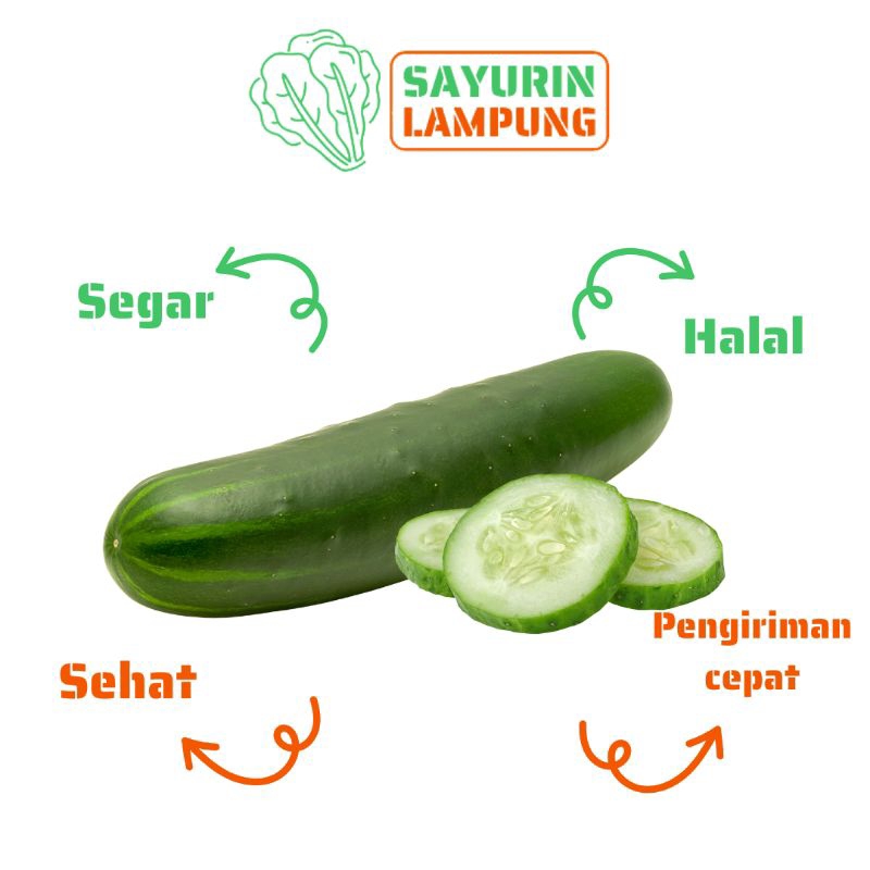

timun segar sayur timun 500gr - SAYURin LAMPUNG