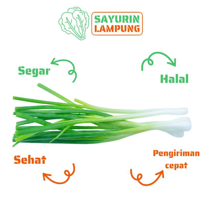 

daun bawang segar per ikat - SAYURin LAMPUNG