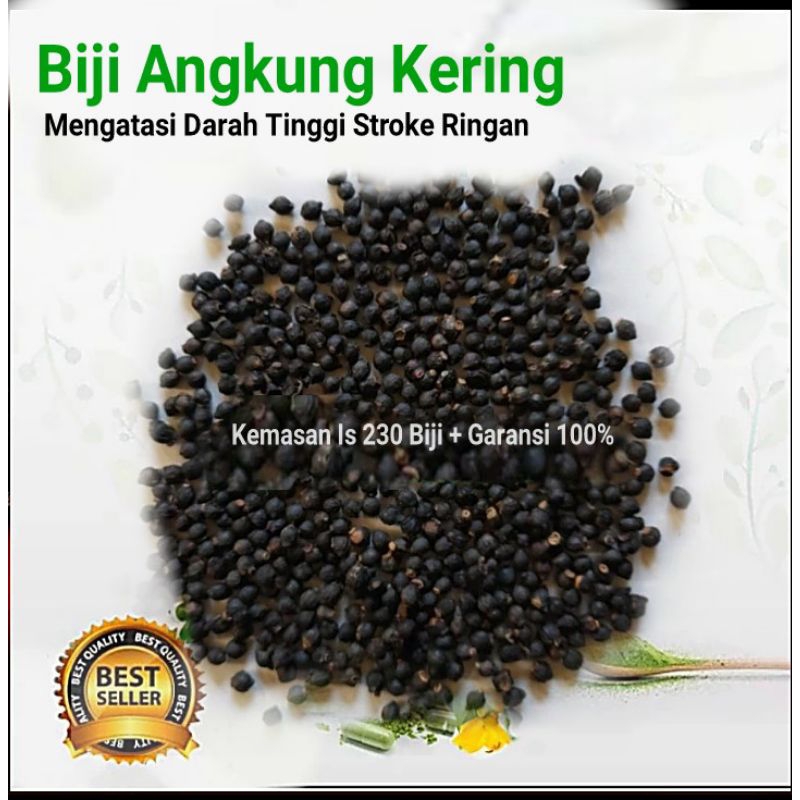 

Angkung Kering Premium Isi 300 biji + 15 biji Bonus Obat Stroke