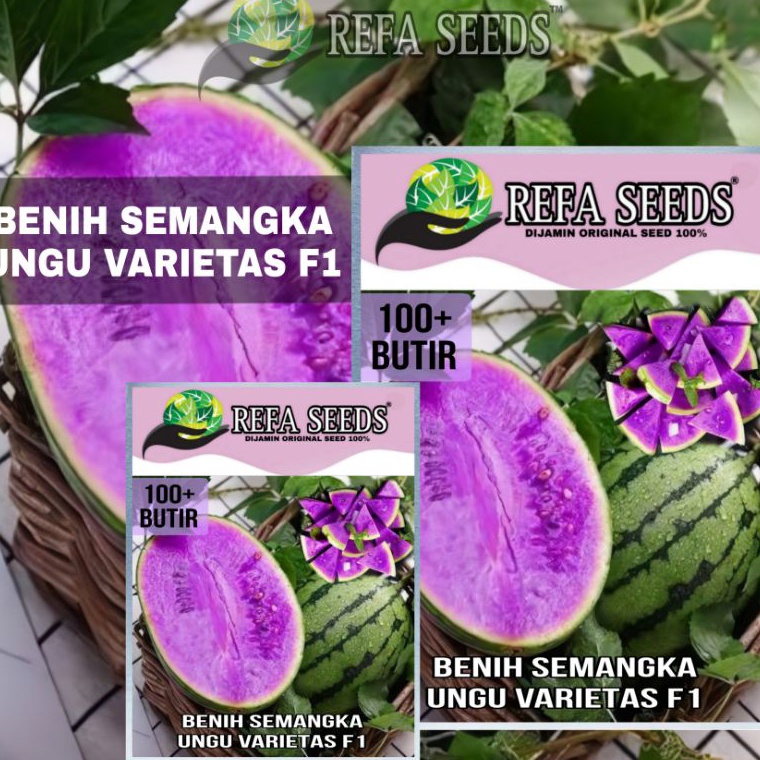 ❤[PROMO ⚡ALE]❤ LANGKA Benih Bibit Semangka Ungu Varietas F1 mudah tumbuh / benih semangka / bibit me