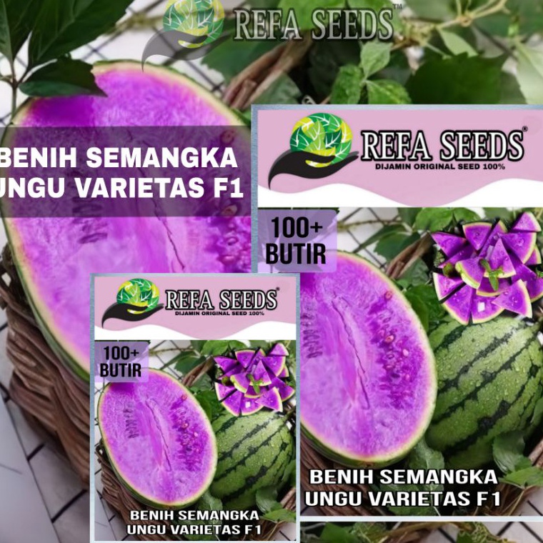 ❤[PROMO ⚡ALE]❤ LANGKA Benih Bibit Semangka Ungu Varietas F1 mudah tumbuh / benih semangka / bibit me