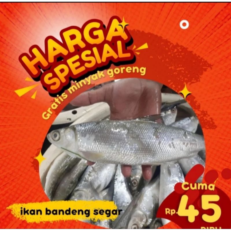 

Ikan bandeng segar 1kg isi 2/3 (bukan frozen) free dibersihkan gratis minyak goreng 1liter