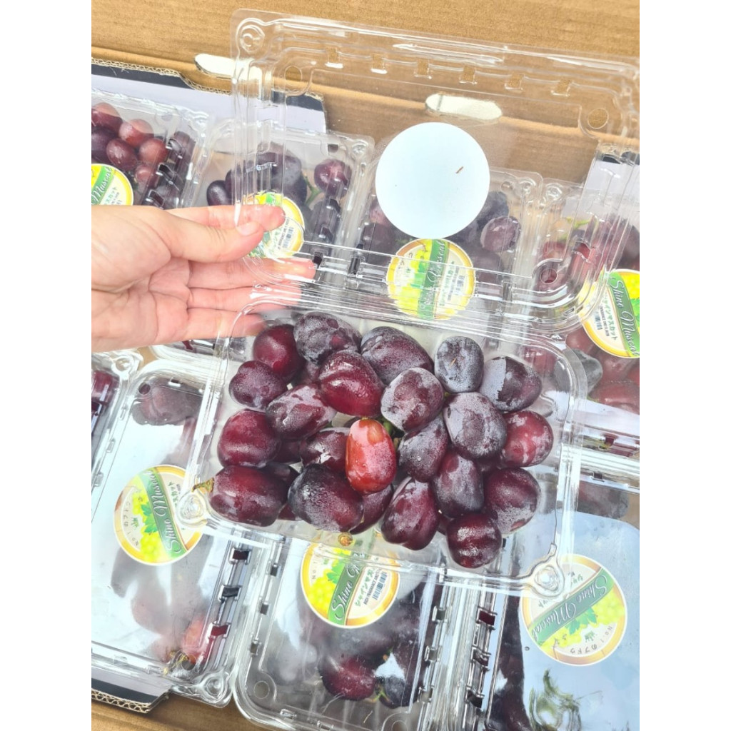 

Anggur Shine Muscat Red Manis Import | Pack