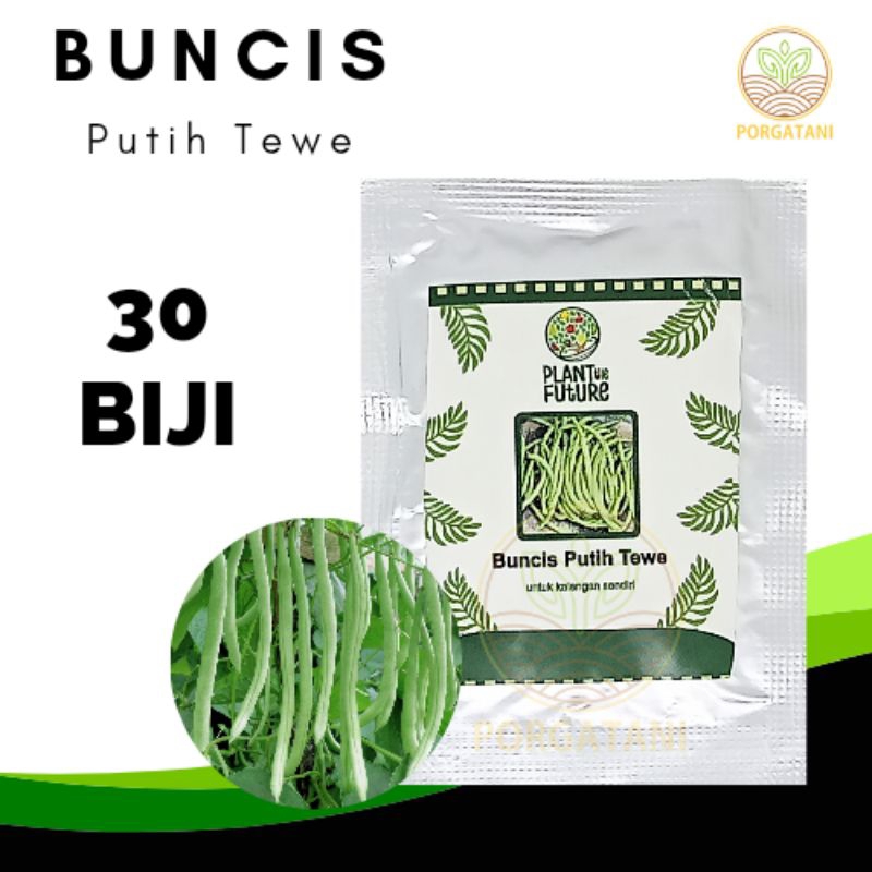 Benih Rumahan Buncis Putih Tewe Super Unggulan Benih Bibit Buncis Putih Tewe Mudah di Tanam Mudah Tu