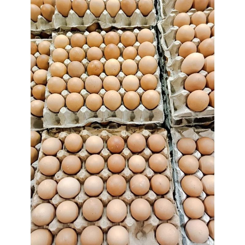 

TERMURAH!!!Telor Ayam 1 KG harga promo kualitas terbaik