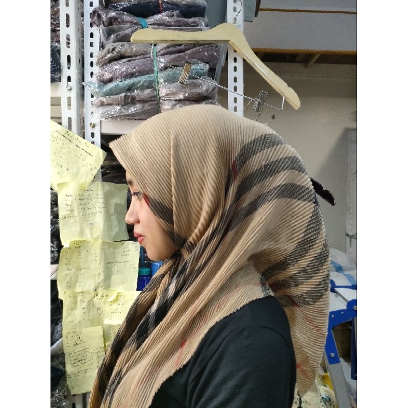 SEGITIGA PLISKET COKSU