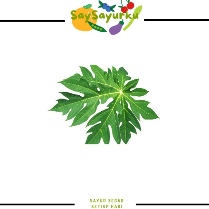 

DAUN PEPAYA