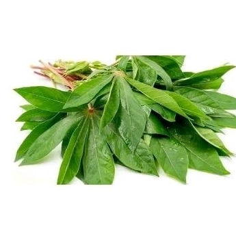 

Daun singkong 1ikat