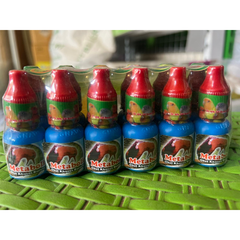 metabolis obat penggacor burung asli