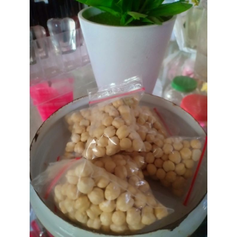 

kacang arab