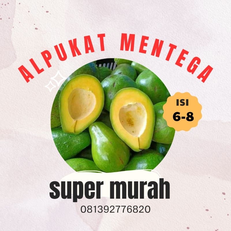 

Alpukat Mentega Super Murah