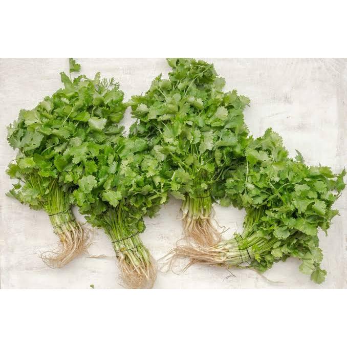

Daun ketumbar, daun ketumbar segar, daun ketumbar fresh
