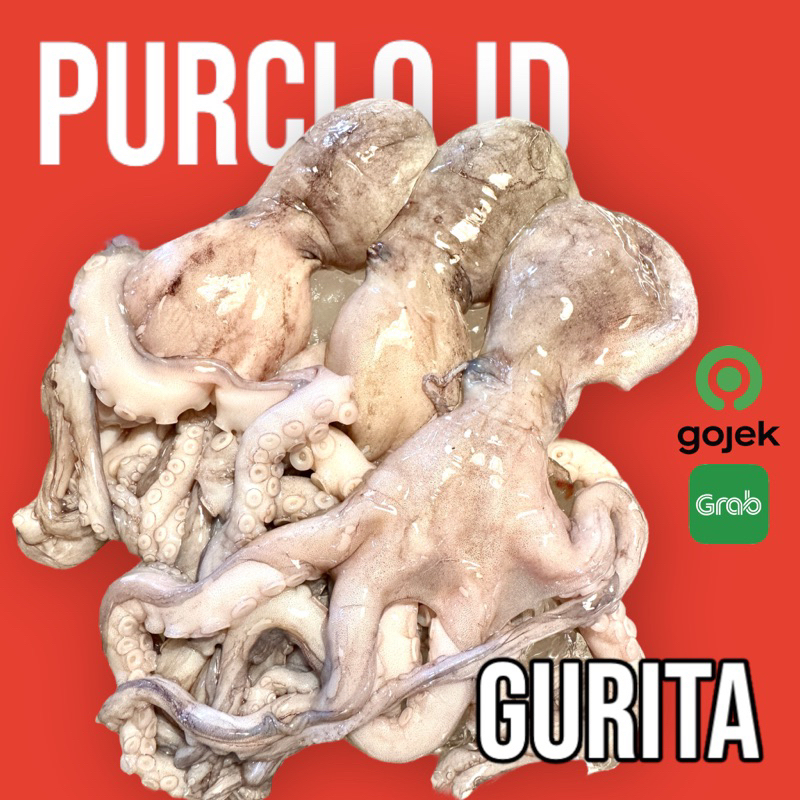 

gurita octopus fresh bandung