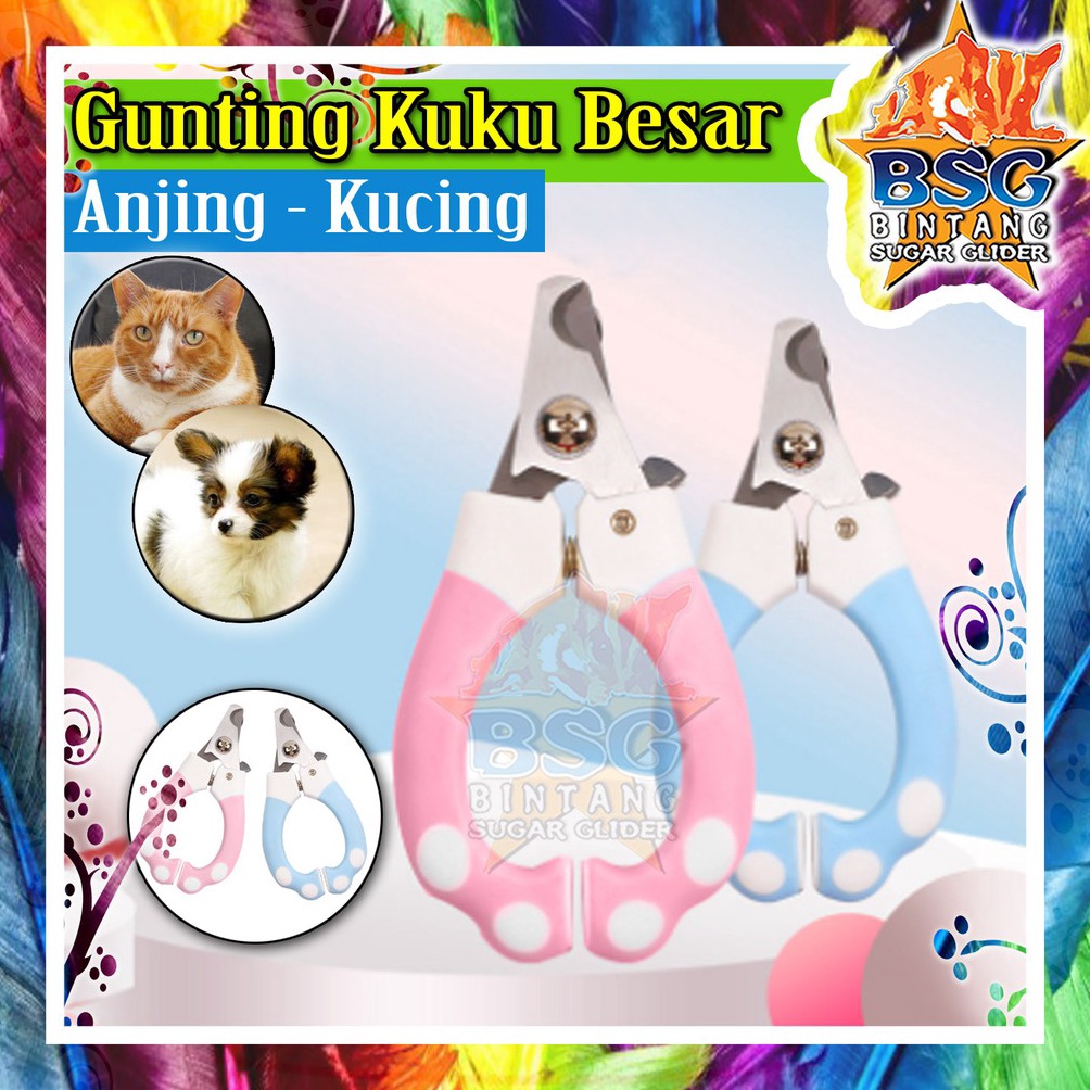 Ready stock Pet Comb Gunting Kuku Besar Kucing - Anjing - Sugar Glider - Otter - Hewan - Best Quality - Ori KGD