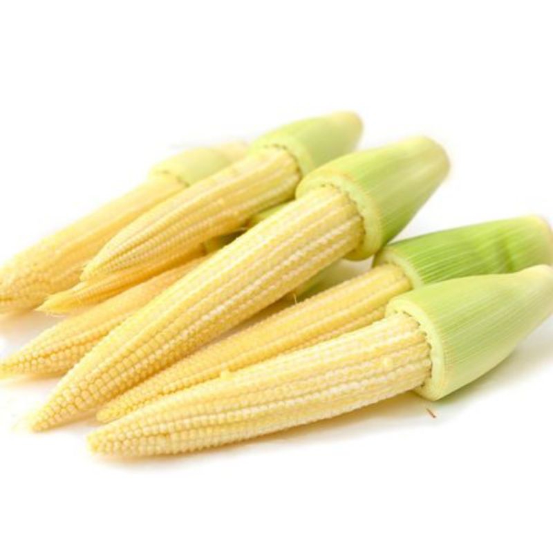 

Jagung muda baby corn 1kg