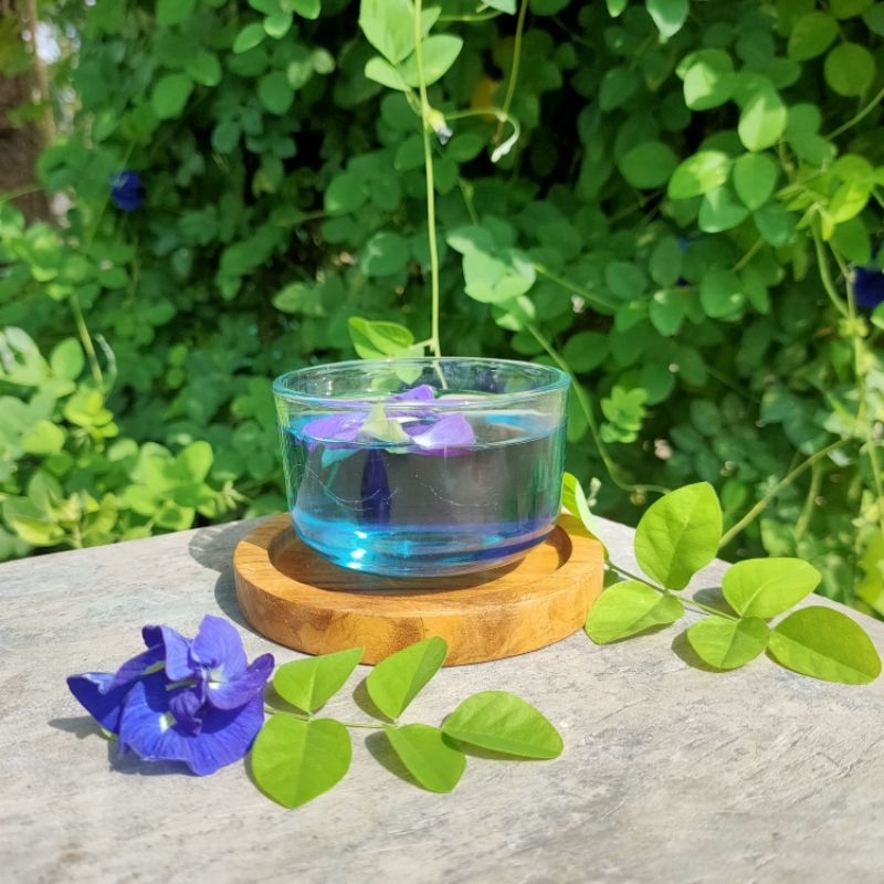 

teh herbal bunga telang (butterfly pea flower) kembang Telang ungu atau biru