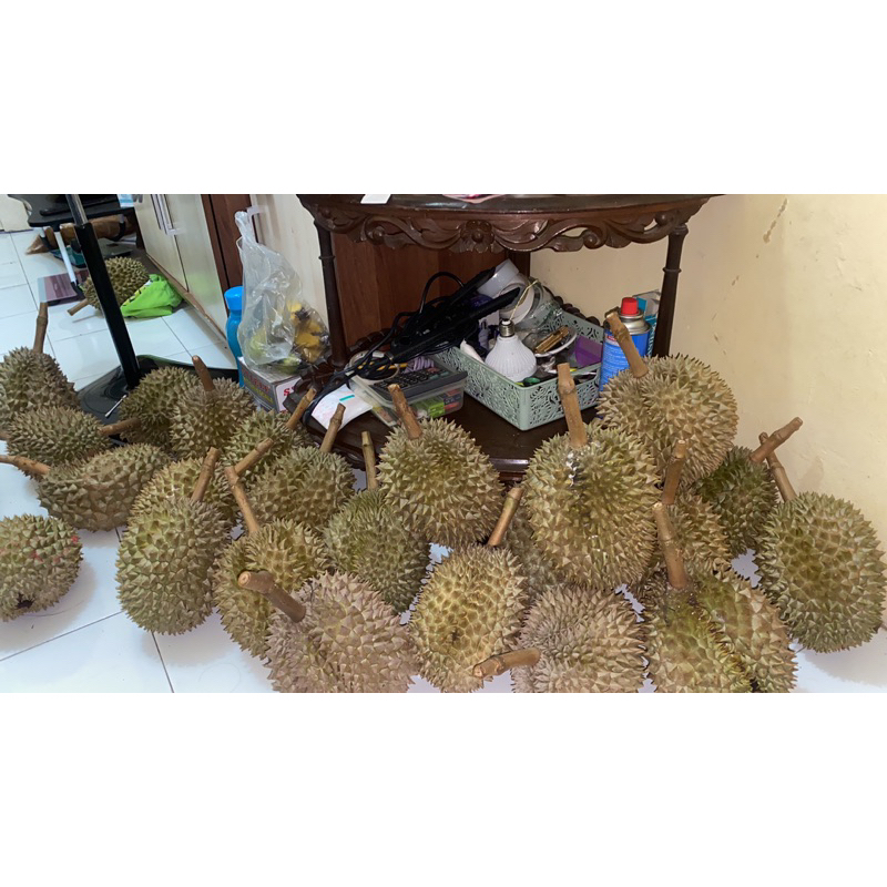 

durian monthong bawor asli banyumas